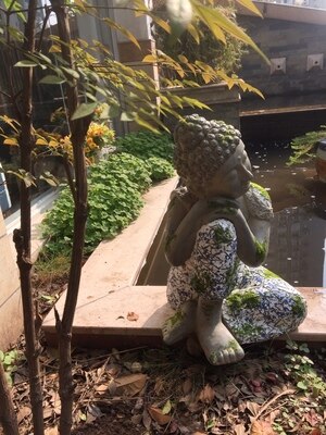 Buddha Statue Hanami