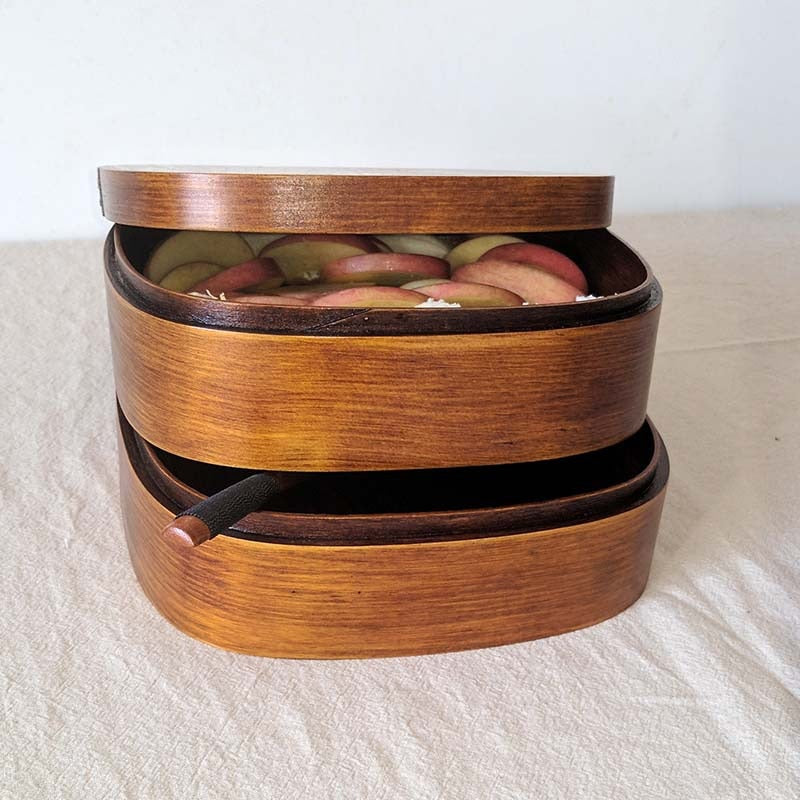 Caja Bento Megumi
