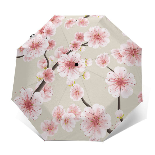 Umbrella Nomi