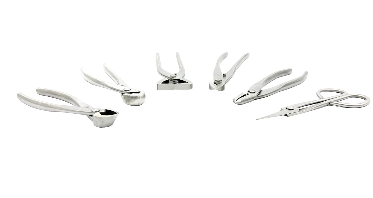 Bonsai Tool Set Omiya (6 Pieces)