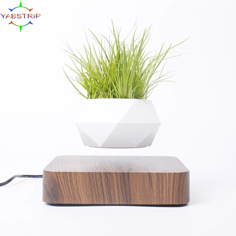 Floating Bonsai Pot Sora (4 Bases)
