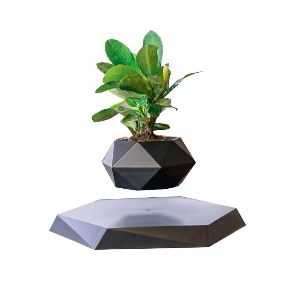 Floating Bonsai Pot Sora (4 Bases)