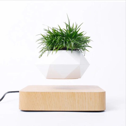 Floating Bonsai Pot Sora (4 Bases)