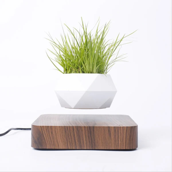 Floating Bonsai Pot Sora (4 Bases)