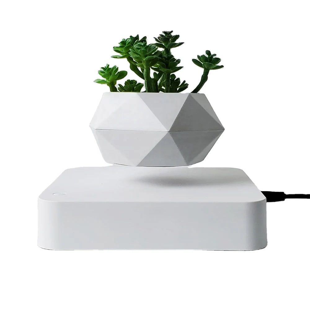Floating Bonsai Pot Sora (4 Bases)
