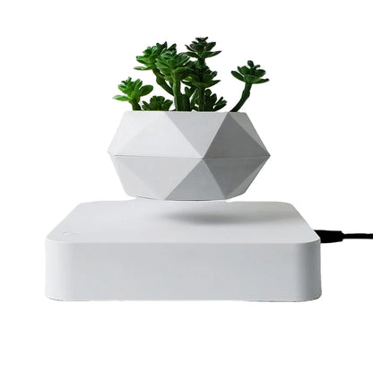 Floating Bonsai Pot Sora (4 Bases)