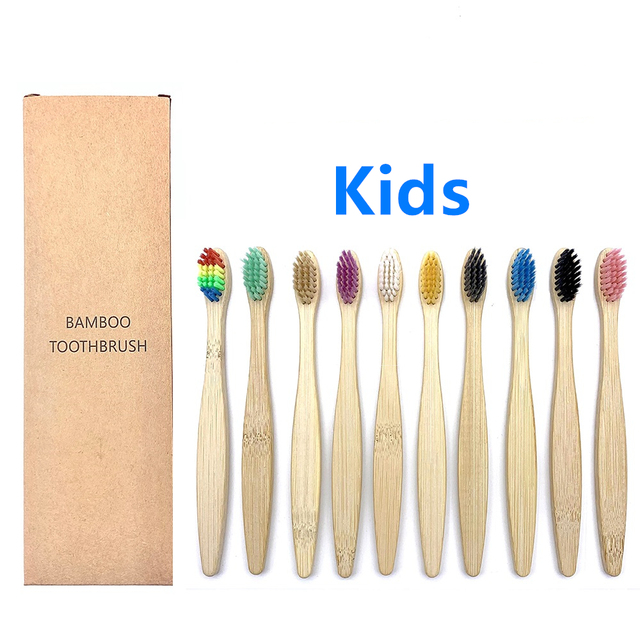 Cepillos de Dientes Shirasawanum