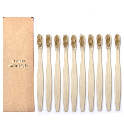 Cepillos de Dientes Shirasawanum