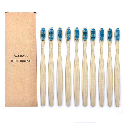 Cepillos de Dientes Shirasawanum