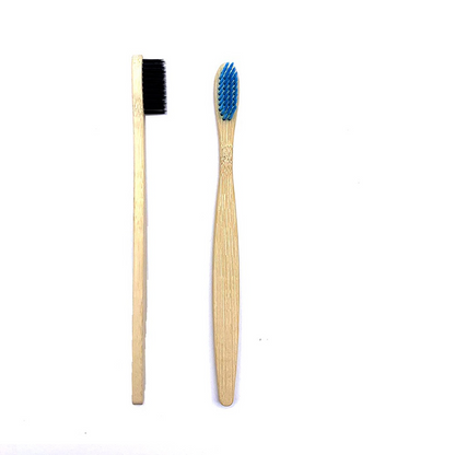 Toothbrushes Shirasawanum