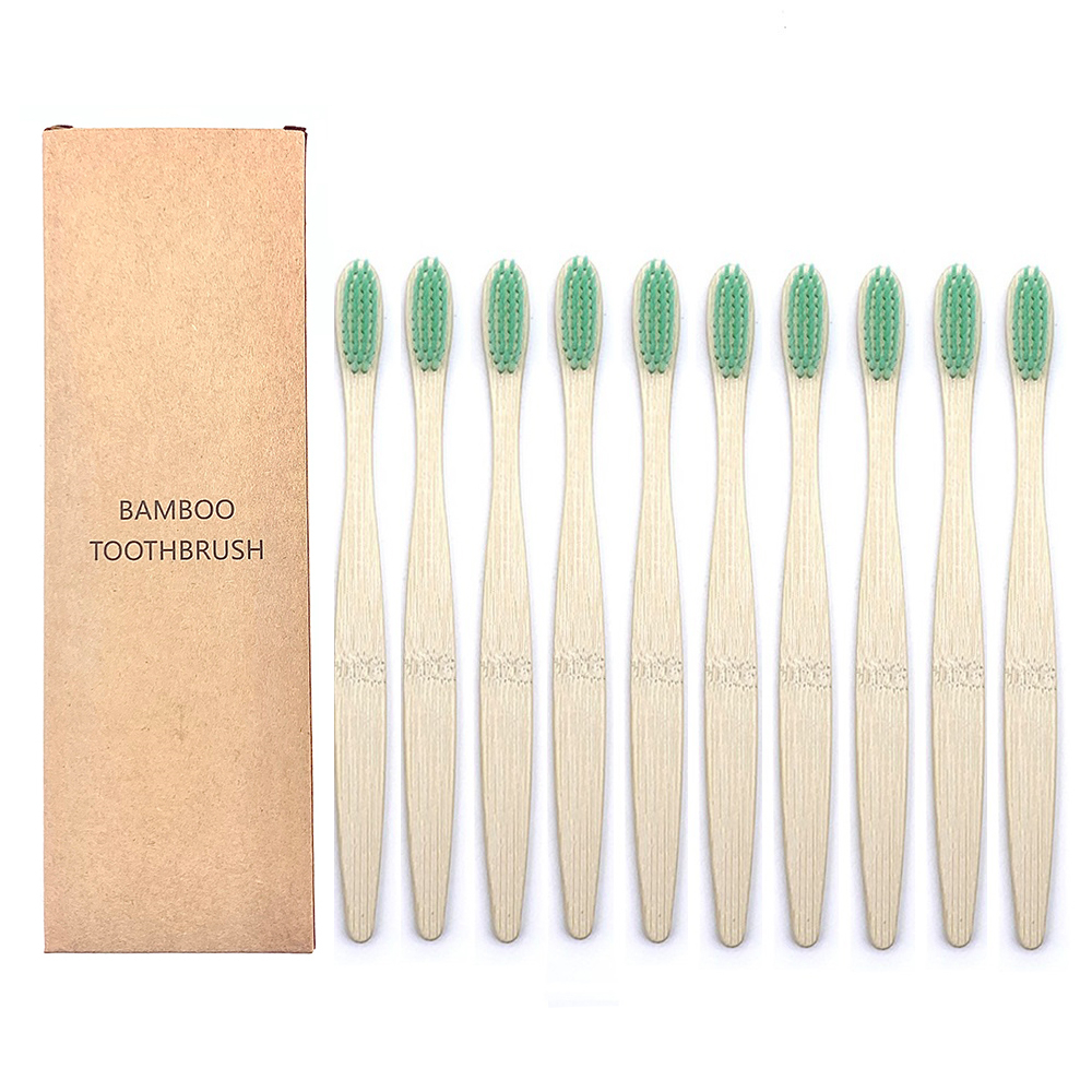 Cepillos de Dientes Shirasawanum