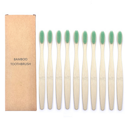 Cepillos de Dientes Shirasawanum