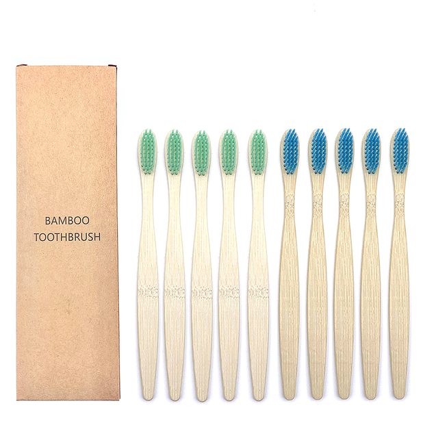 Cepillos de Dientes Shirasawanum