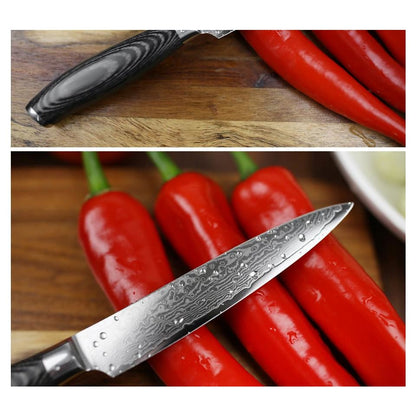 Damascus Knife Takami - Knives