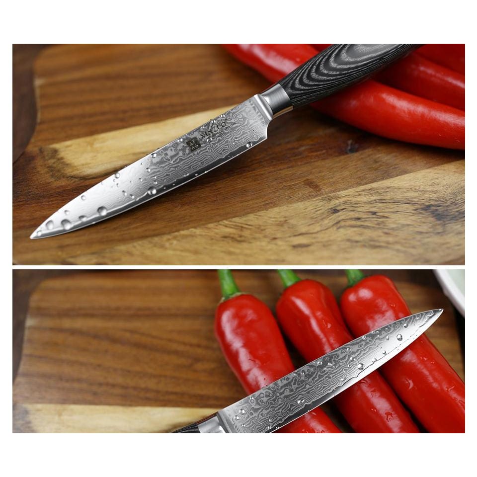 Damascus Knife Takami - Knives