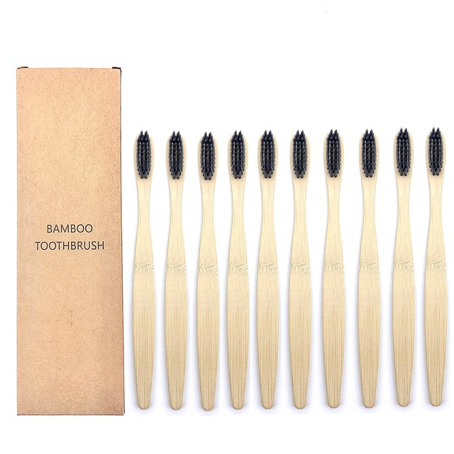 Cepillos de Dientes Shirasawanum