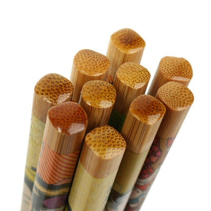 Set de 5 Pares de Palillos Wiesneri (9 Colores)