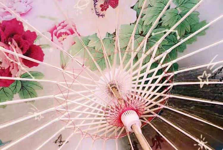 Paraguas de Sol Ishikawa